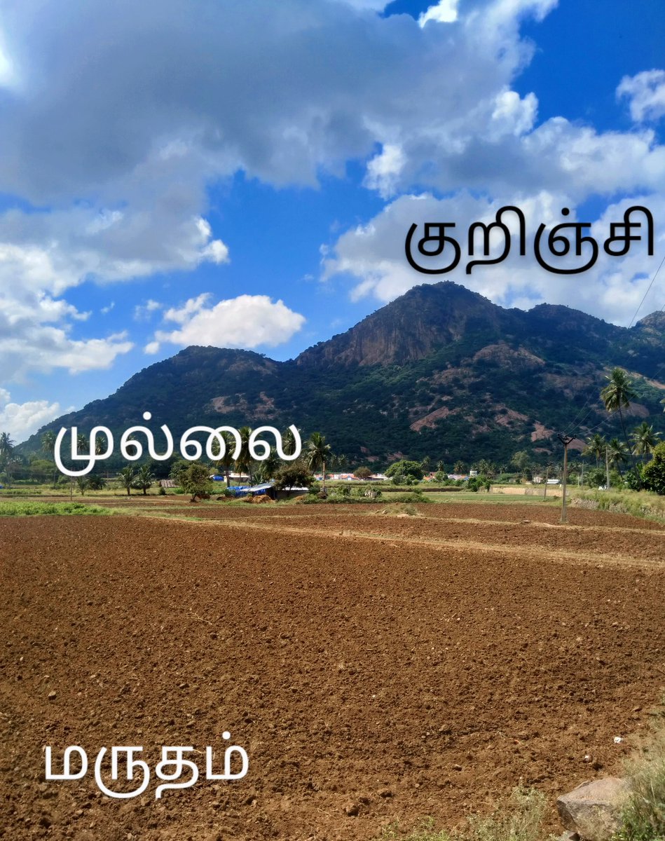 This place was basically an example of Tamil geographic classification.The top the hill, Kurinji.The bottom of the hill, Mullai.The habitat & fields, Marudham.No wonder Tamil Jain monks chose this place to chill  #cycling  #தீந்தமிழ்  #தமிழி  #Tamilbrahmi  #Jains  #சமணர்/6