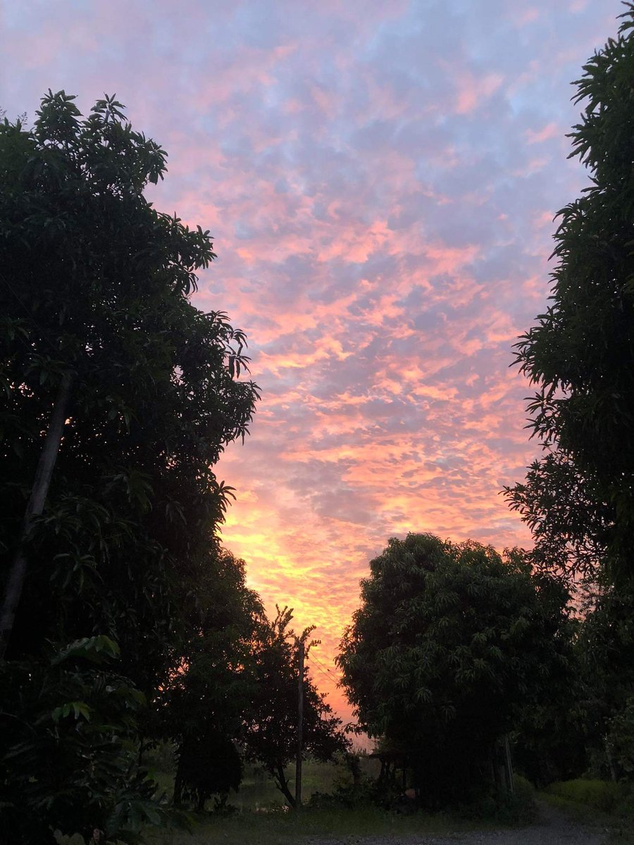 Body86062708's tweet image. ไม่ใช่เราไม่ดี
เราแค่ไม่มีในสิ่งที่เขาต้องการ
"แค่นั้นเอง” 🖤🖤

#แคปชั่นเพ้อ #แคปชั่นอ่อย #แคปชั่นโสด #แคปชั่นโดนๆ #แคปชั่นน่ารักๆ