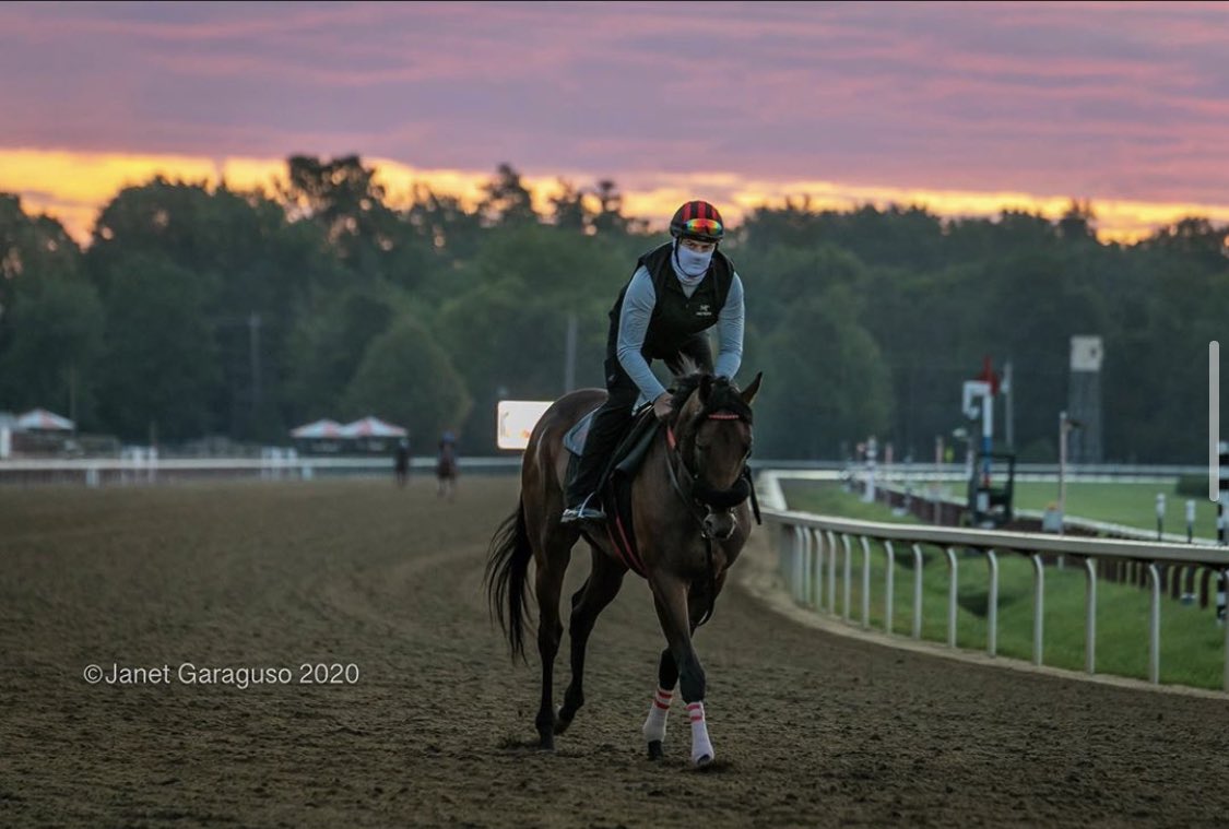 AdelphiClub's tweet photo. UNRELENTING FORCE hit the snooze button a couple of times but he’s ready to roll in Race 1 at Aqueduct with a post time of 10:30AM!!! 🏇🏇🏇@HandalRacing @MattCutair @B_Hahn7 https://t.co/I4pJJfyB7W