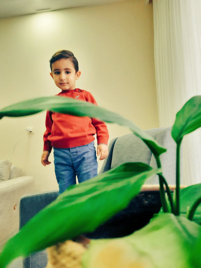 Çoban çiçeği🌿🧿