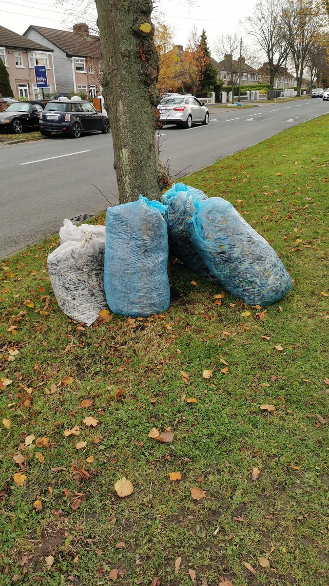PatDoyle45's tweet photo. @DubCityCouncil please help out the locals by collecting #leaves gathered on Brookwood Avenue https://t.co/bsBiop3kAI