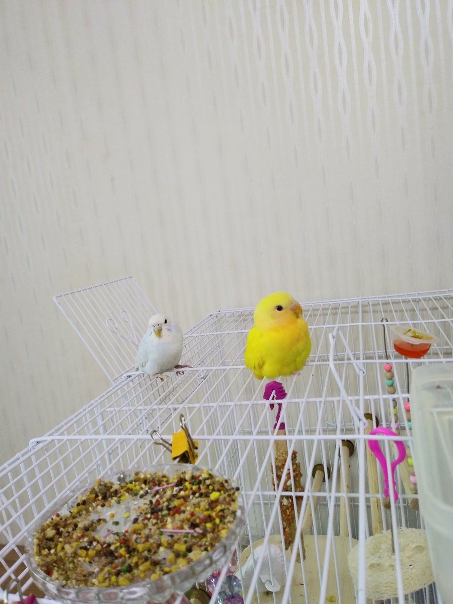 치명적인 바디라인