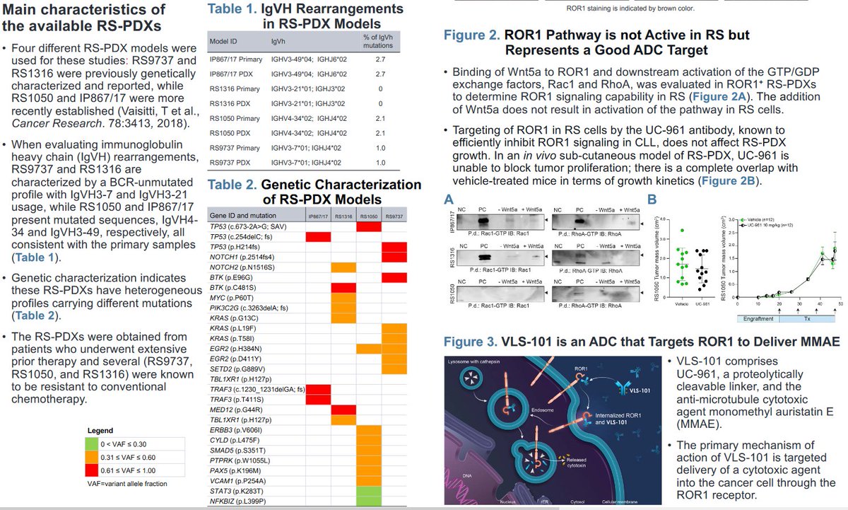 BertrandBio's tweet photo. #VelosBio VLS-101 ROR1 ADC #ASH19 poster in models of Richter Syndrome/Richter Transformation (only n=1 RS/RT in #ASH20 abstract). $MRK seems to like the agents showing activity against RS/RT (remember $ARQL).
https://t.co/Om9pupk88D https://t.co/5ujdv8NKEk