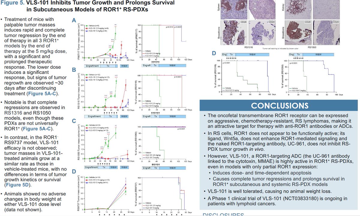 BertrandBio's tweet photo. #VelosBio VLS-101 ROR1 ADC #ASH19 poster in models of Richter Syndrome/Richter Transformation (only n=1 RS/RT in #ASH20 abstract). $MRK seems to like the agents showing activity against RS/RT (remember $ARQL).
https://t.co/Om9pupk88D https://t.co/5ujdv8NKEk