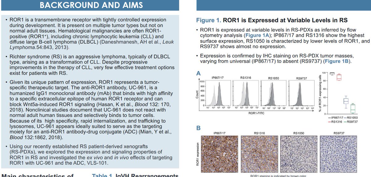 BertrandBio's tweet photo. #VelosBio VLS-101 ROR1 ADC #ASH19 poster in models of Richter Syndrome/Richter Transformation (only n=1 RS/RT in #ASH20 abstract). $MRK seems to like the agents showing activity against RS/RT (remember $ARQL).
https://t.co/Om9pupk88D https://t.co/5ujdv8NKEk