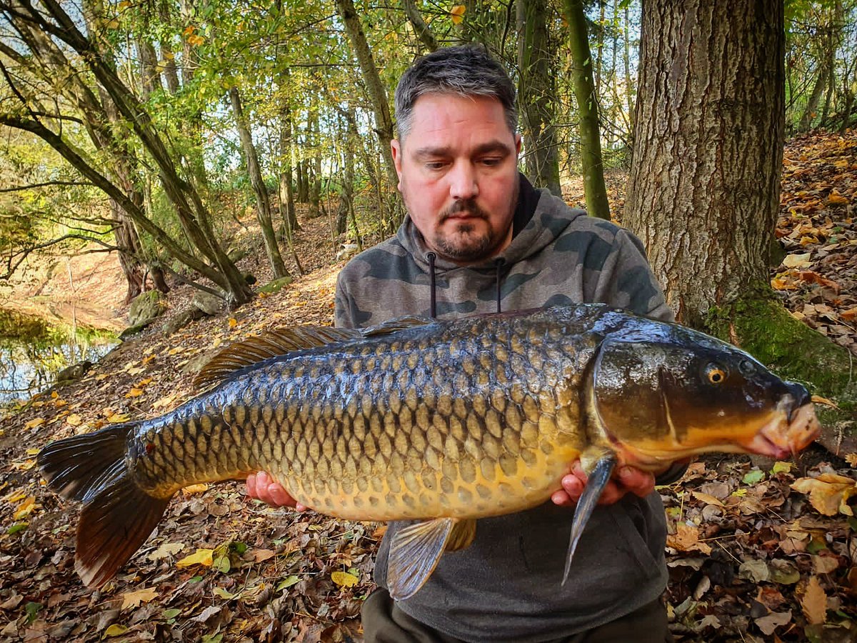 Carpy_UK's tweet photo. Historic Earlswood Common for Ryan, last out a few years back - up at 21.12 #socialdistancing #CarpySyndicate #StudyToBeQuiet #BrothersOfTheAngle #CarpFishing https://t.co/ouJde6siMI