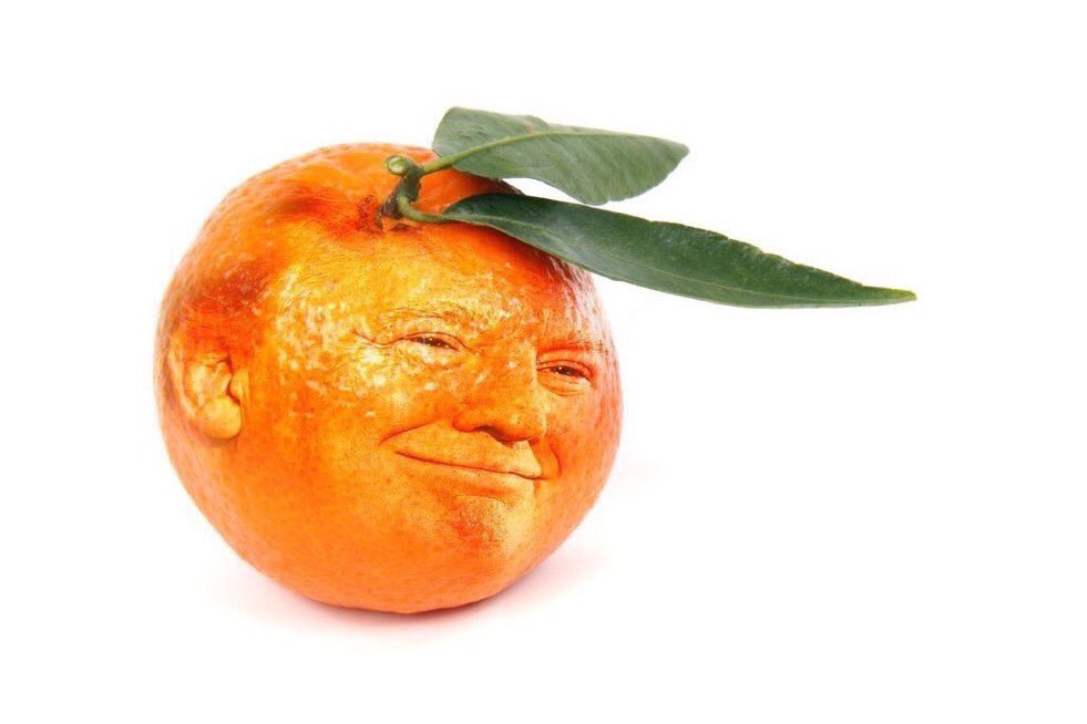 BoxSensi's tweet photo. KNOCK KNOCK: Who’s There
ORANGE
Orange Who?
KNOCK KNOCK: Who’s There
ORANGE
Orange Who?
KNOCK KNOCK: Who’s There
BIDEN, aren’t you glad I didn’t say Orange
#orangeout #callitalready https://t.co/yb9XRSJlNY