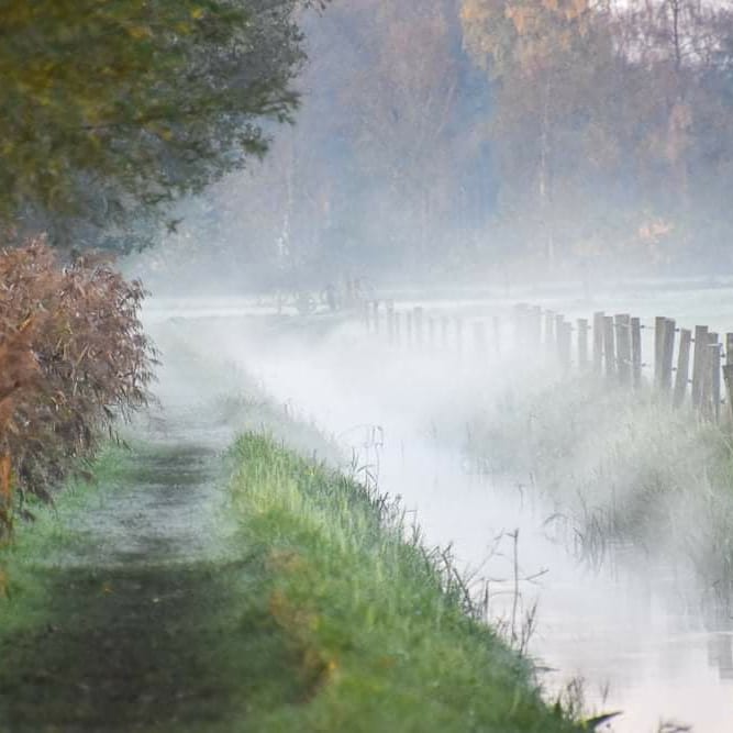 TVilsteren's tweet photo. @pietzoonpad #zaterdag https://t.co/D0VRfwFIEp