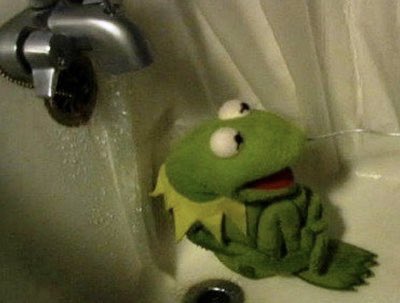 oh_layy's tweet photo. Please for the love of god make #ElectionNight /#ElectionWeek2020/@realDonaldTrump stop already mood board https://t.co/LBIhYapEqU