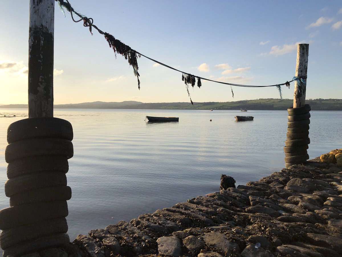 DonegalTV on Twitter "Oyster farming in Ballybegly, Newtowncunningham Donegal 📷 Shane Wallace