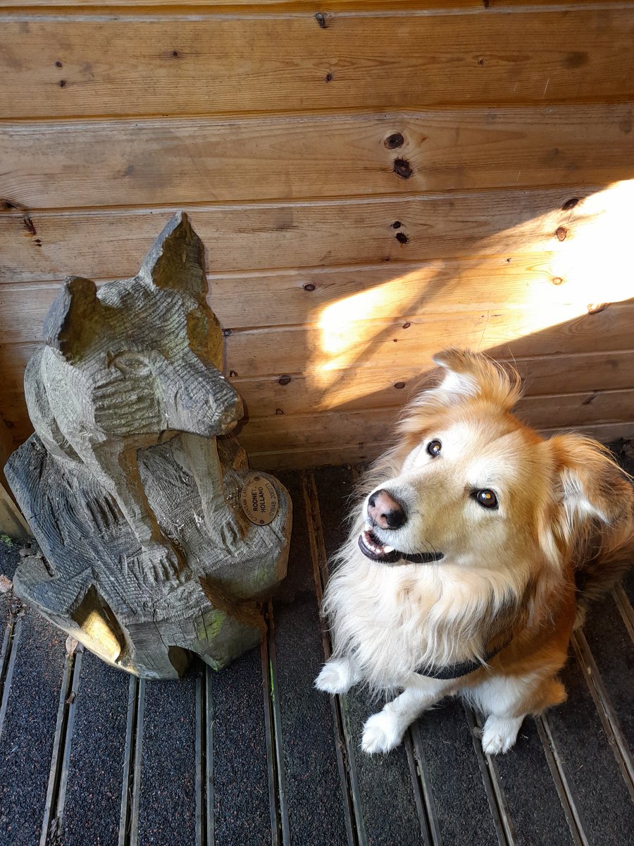 K9Dug's tweet photo. Check out this widden cunt
#NotAmsterdam https://t.co/7oUNRXkYFM