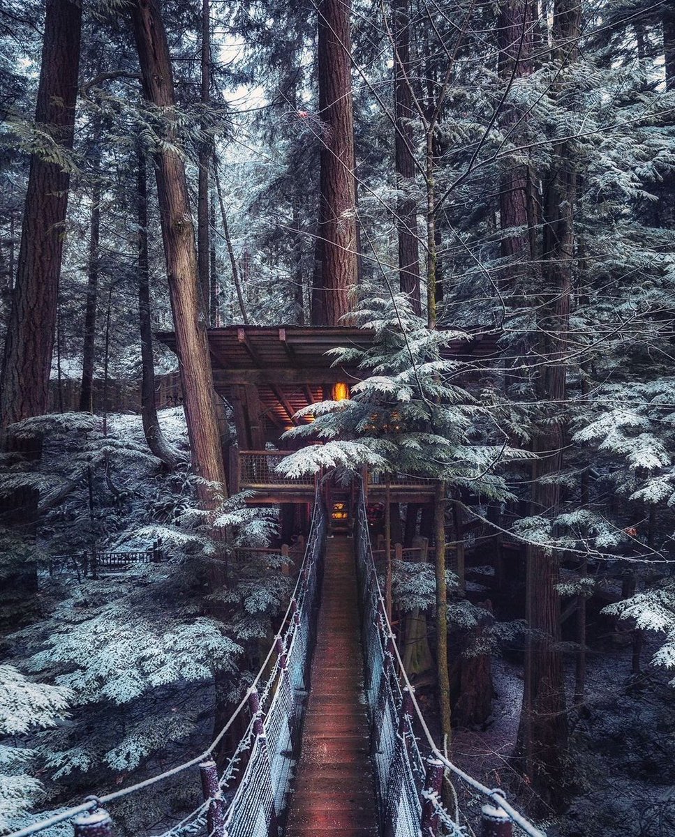 earthcurated's tweet photo. Vancouver, British Colombia. https://t.co/ekFMZipgtq