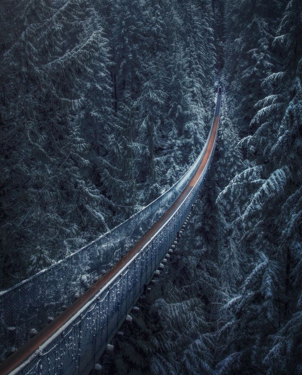 earthcurated's tweet photo. Vancouver, British Colombia. https://t.co/ekFMZipgtq