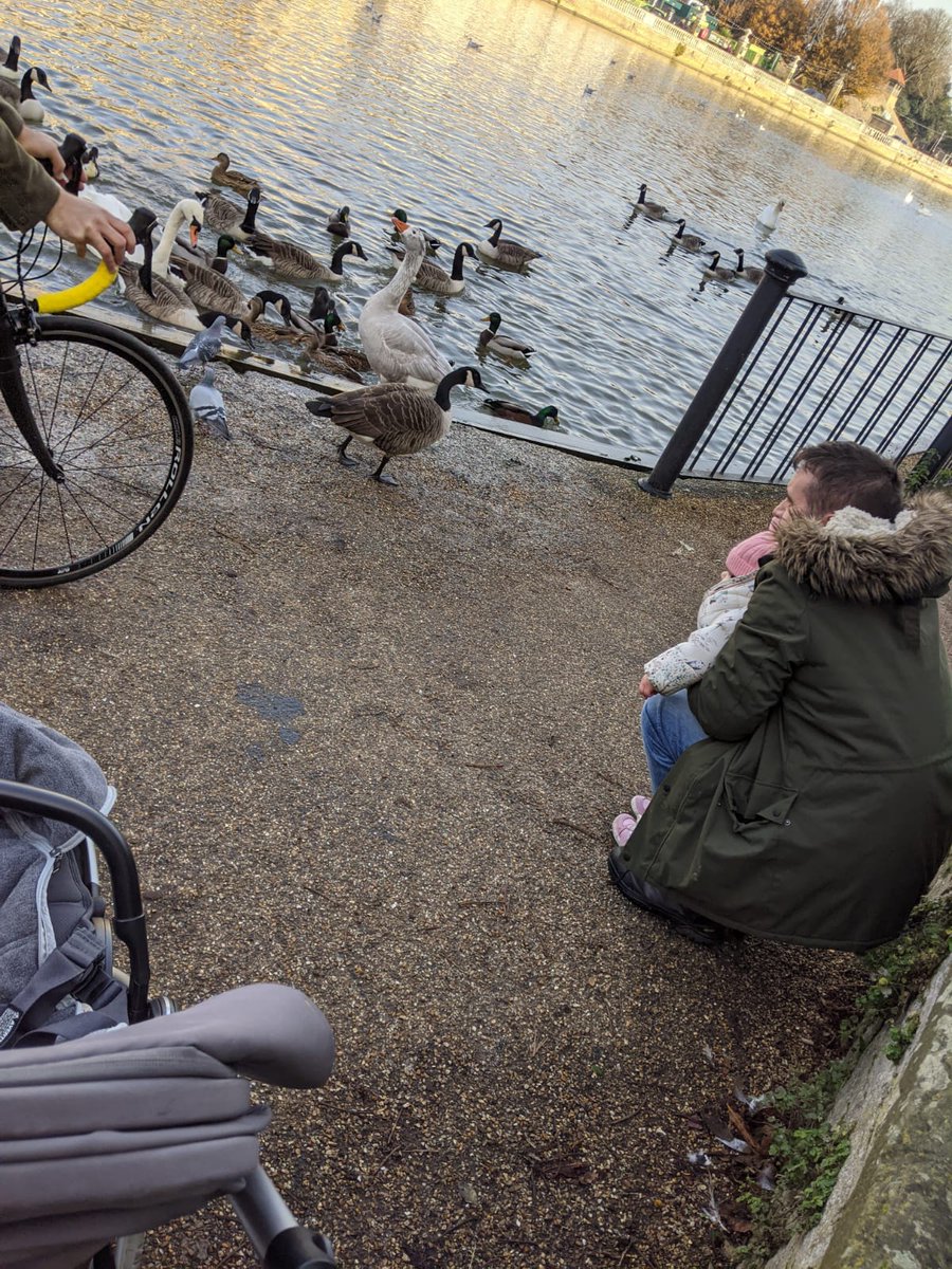 danny_g81's tweet photo. Watching the birds https://t.co/YPUPNuWLn9