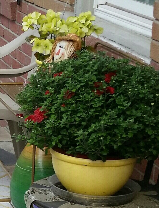 SheShe0430's tweet photo. **It'sALWAYSgreat! CatchingUP:) WithU!, mySoKind #TweetFam! β‘
ENJOYthisDay! ThatTheLORDhasMade! #REJOICE! & beGLADinIt! *(*_*)*
@LadyBeverly01 @lynore2010 @bowley115 @macnificent123
BeBackLaterz!, off to enjoy my much needed!, #YardworkTherapy (*_*) https://t.co/ROwLz7wNPg