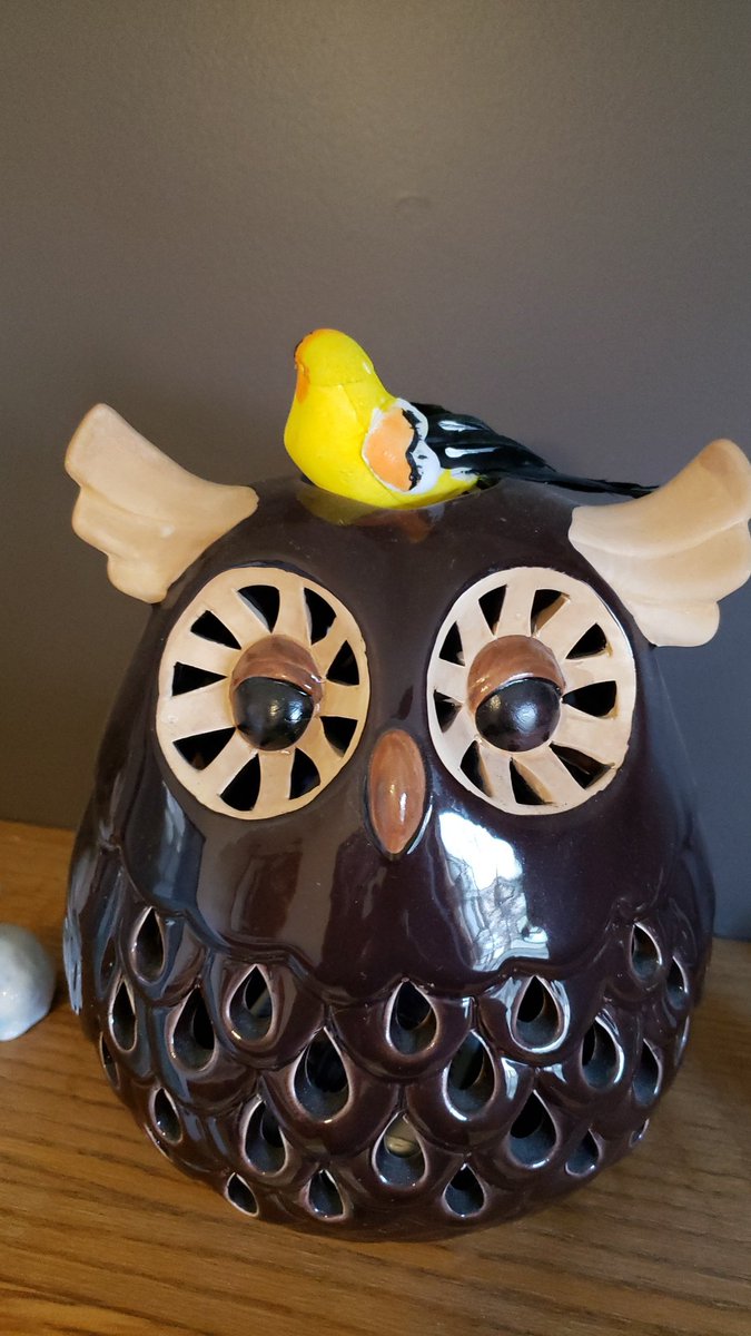 RyanHewer's tweet photo. Definitely an evil bird.  #MrHewerQuest37. https://t.co/ozcWOAnE1Q