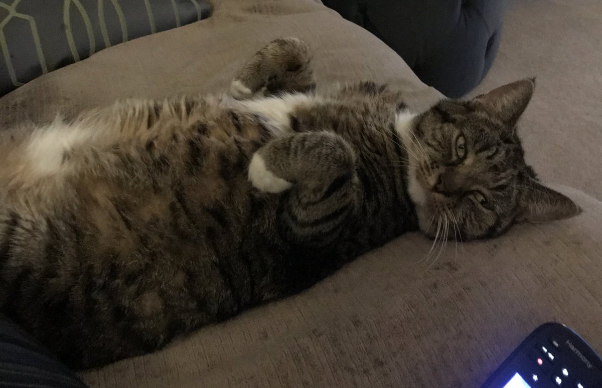 Fran Bettesworth tweet media