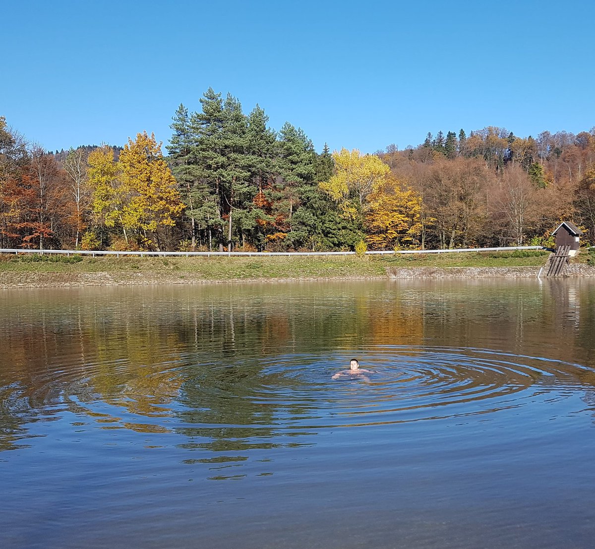 marekmittas's tweet photo. Farby jesene. #whh #Autumn #Slovakia #ladovemedvede #HealthyLiving https://t.co/T6VWLSfOvR