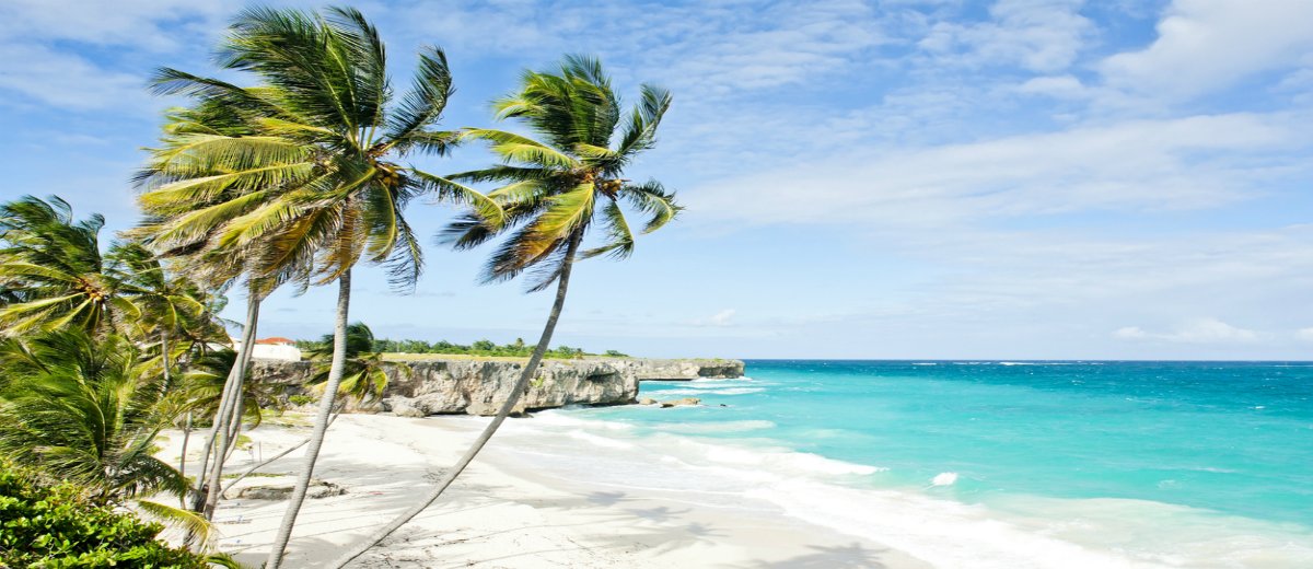 6) Great Leisure:Since we got here, we've been to the horse racing, watched a rally, hiked, swam with turtles, sailed, gone karting, going diving next week, and did I mention the beaches already? Well this is 1.1 miles from home: