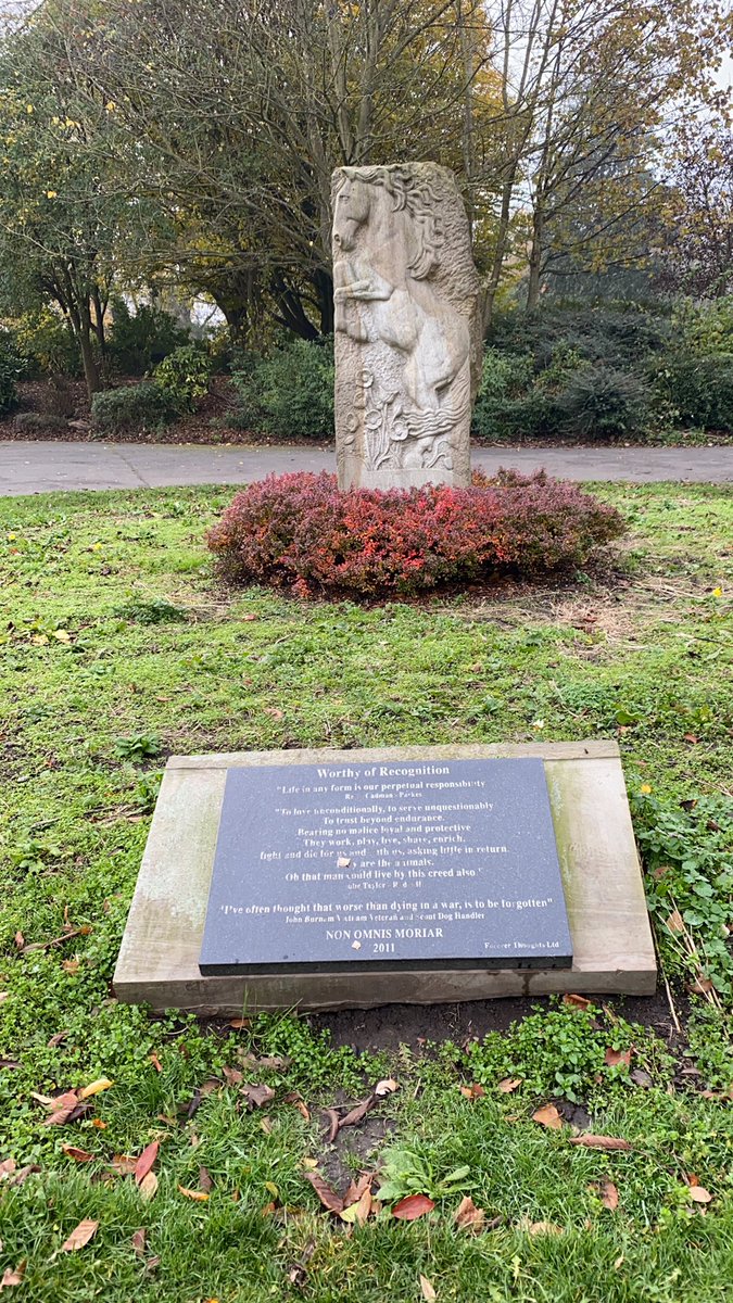 Out for my daily Exercise.  And stopped for a quiet moment of reflection on the day before our Festival of Remembrance at a fitting and poignant place in #DartmouthPark here in #Morley