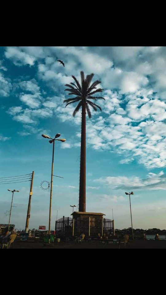 NA_FESA's tweet photo. نبذه عن جمال بورتسودان في اليومين ديل💛💛💛🔥
_كورنيش السيلاند https://t.co/XM2ZDrDBUu