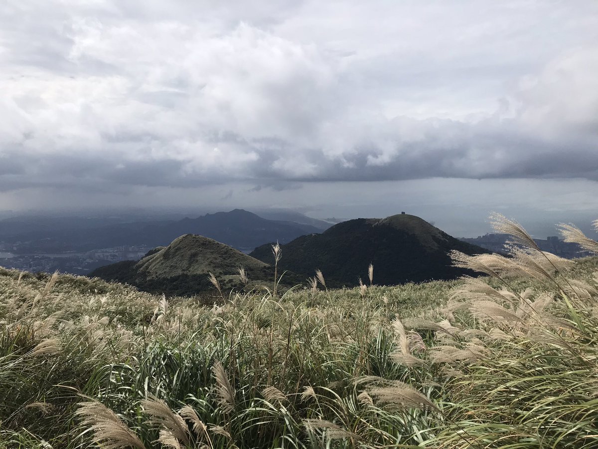 sasha498968's tweet photo. 秋芒紛飛的美麗大屯山。

#大屯山
#陽明山
#台北市
#Taiwan https://t.co/cMvcRyNkAN