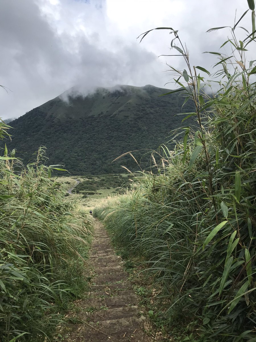 sasha498968's tweet photo. 秋芒紛飛的美麗大屯山。

#大屯山
#陽明山
#台北市
#Taiwan https://t.co/cMvcRyNkAN