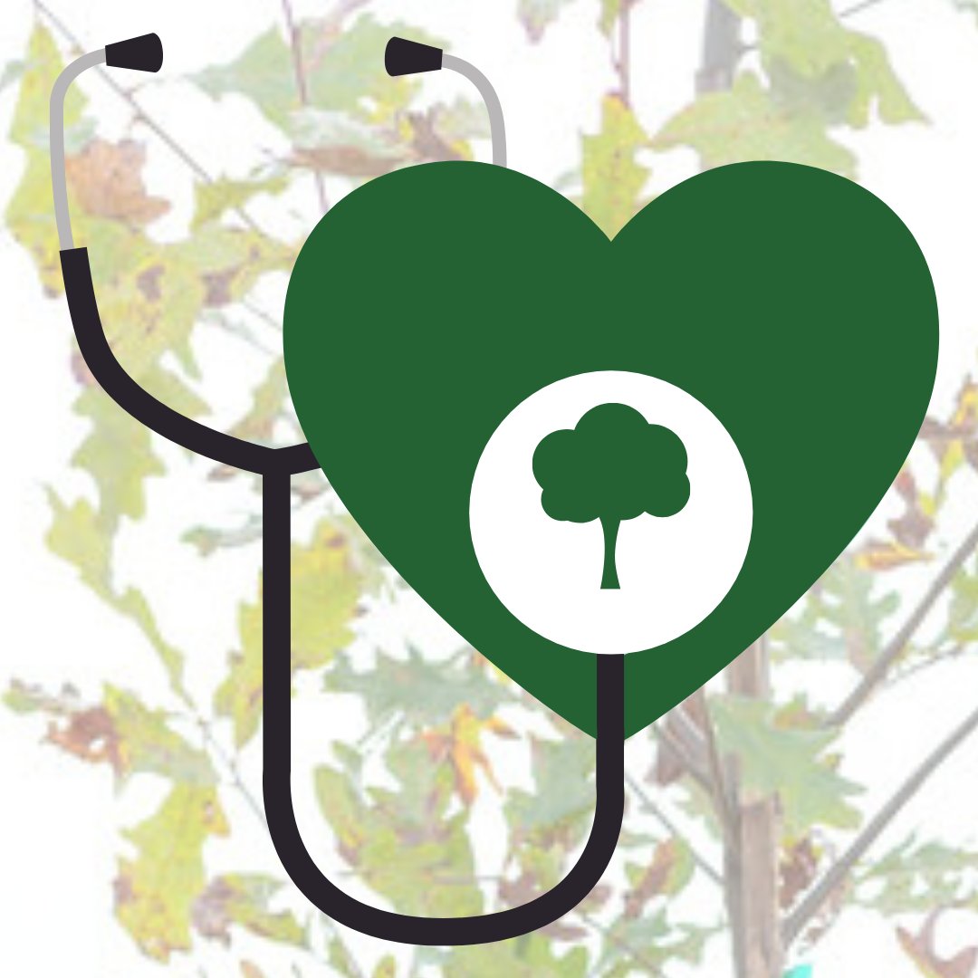 kdbdenton's tweet photo. As your #mykdbtree grows, continued care is important. If you suspect a potential problem, @TXForestService can be your first line of defense. Use the Forest Service's online symptom checker to find "the root of the problem" π https://t.co/o8Ldl07lIh
#wekdb #TXtrees #dentontx https://t.co/YO4HcpMhTb