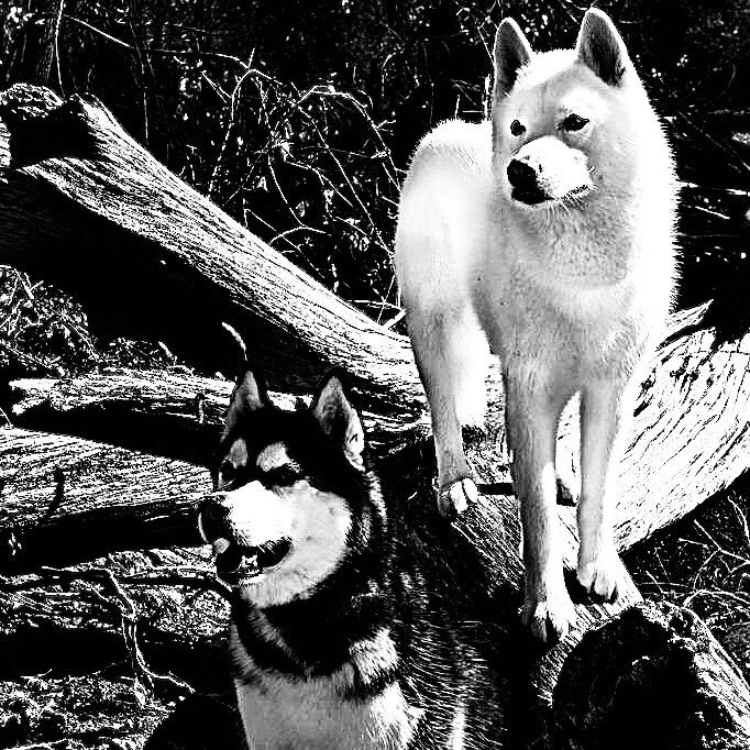 † ℌ𝔢𝔶 𝔟𝔞𝔟𝔢 (#MɇɍriȼK 99) Mark Lee 
/ ยพท. ลฟตท