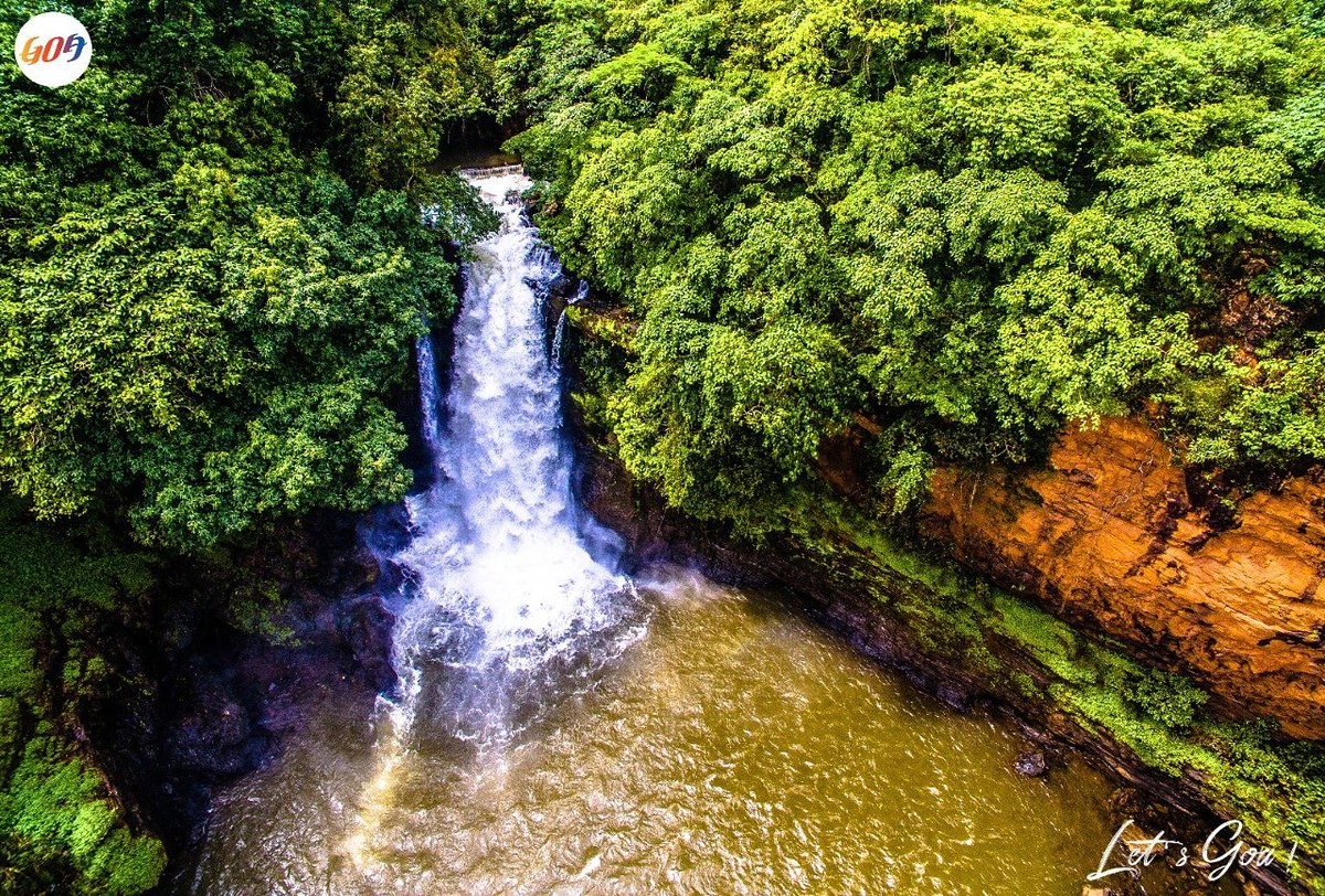 TourismGoa's tweet photo. Take a 360 degree walk-around Arvalem Falls. Listen to the mesmerizing music emanating from 70 meter fall of water amid an awe-inspiring natural sight.   

https://t.co/nFPhZLCFUL

#LetsGoa
#safetravels
#Goa360
#GoGoa
#SobitAmchemGoem
#WowGoa
#WahGoaWah
#GoaHeavenOnEarth https://t.co/Ukf5ib6Lgt