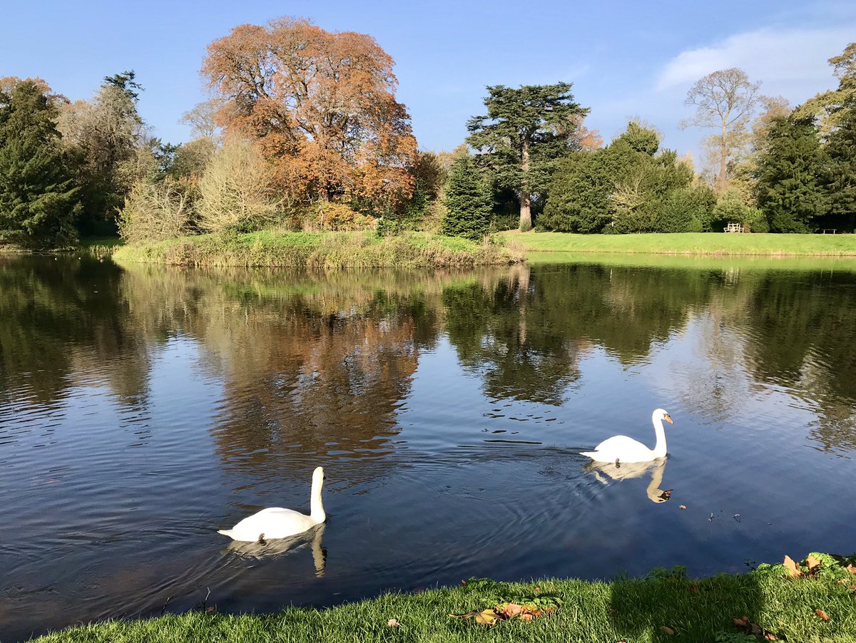 KirstyCBT's tweet photo. Beautiful autumnal morning at @NTCroome #dogsofcroome #SelfCareSaturday https://t.co/A9RxvLN3sk