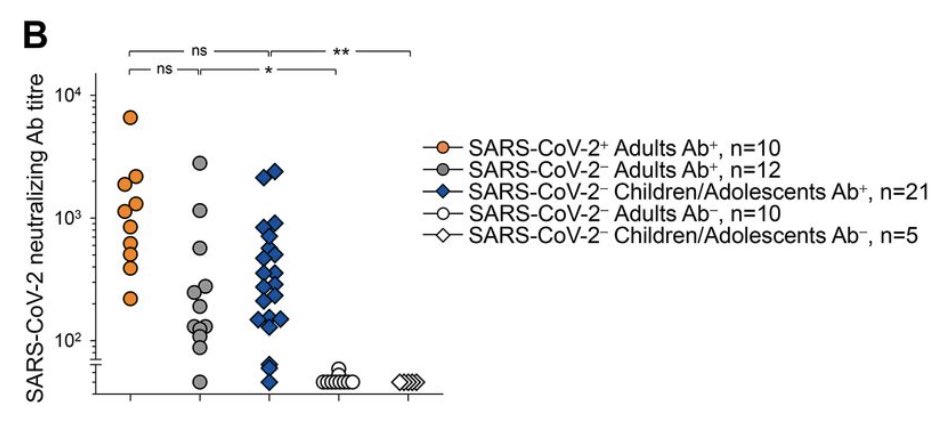 Do these cross-reactive antibodies protect against  #COVID19? Likely. The majority of sera from donors with cross-reactive antibodies neutralized authentic SARS-CoV-2 infection of Vero E6 cells, albeit on average less potently than COVID-19 patient sera. (4/n)