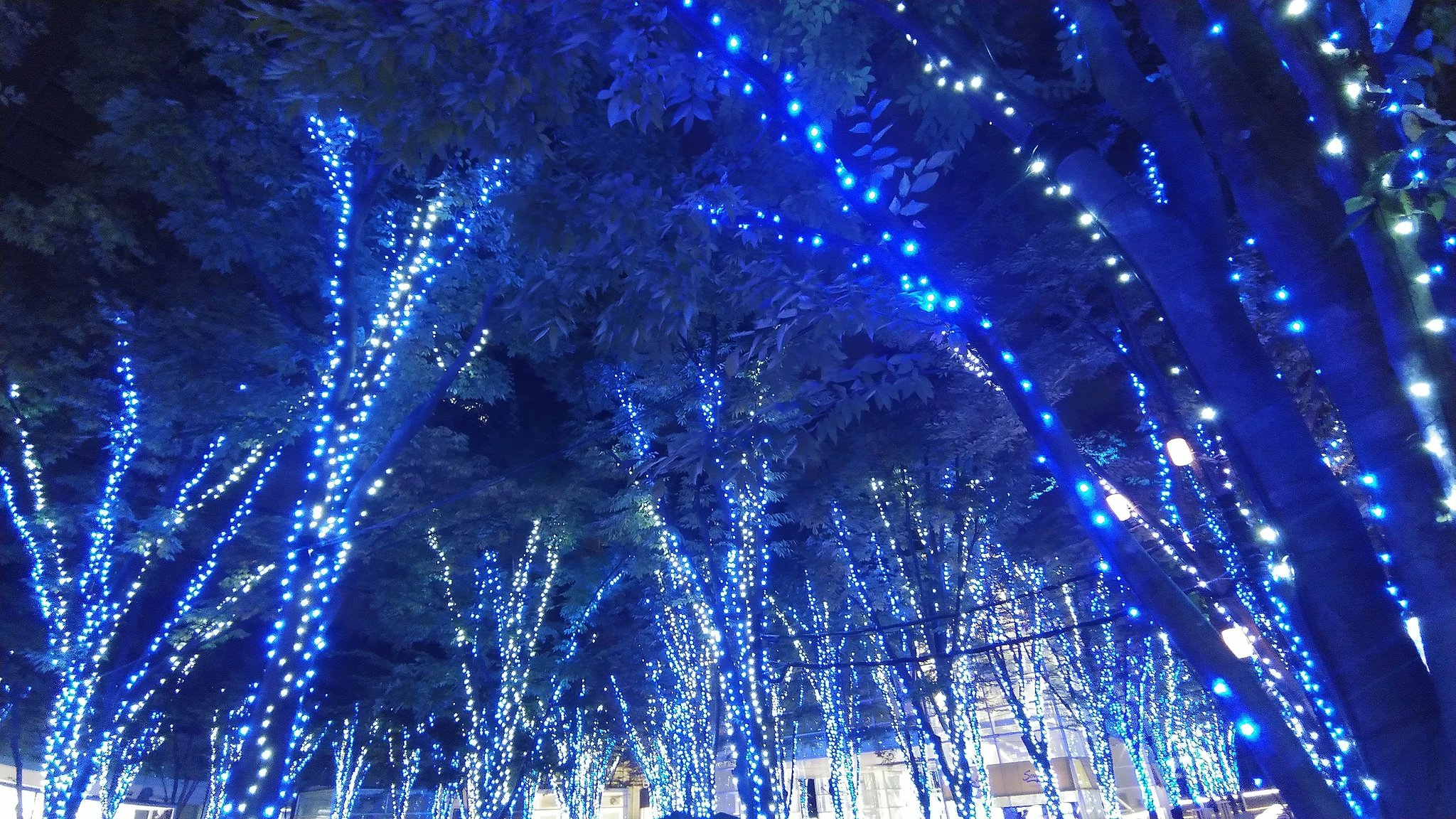 E Urouro さいたま新都心 けやき広場 ライトアップ 今日からだよ たまアリ タウン けやきひろばイルミネーション 21 th Anniversary Shining Flyway The Blue Forest 祝福と感謝の青の森 T Co 81fxitszc6 Twitter