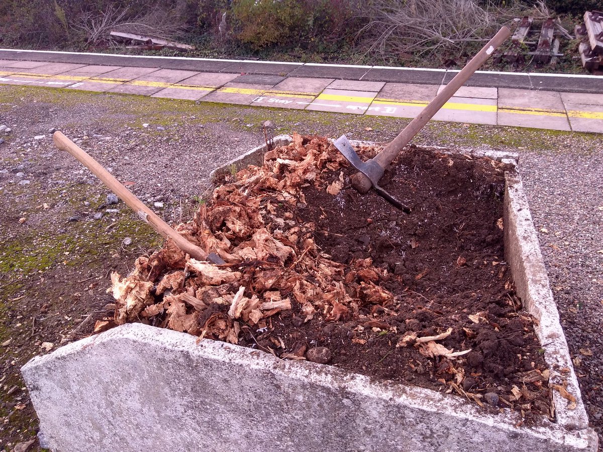 GreenJimll's tweet photo. Fit people: How can we exercise when the gyms are closed?
Me: hold my mattock.
#StumpRemoval #GreenGym #StationAdoption #CommunityWorkout https://t.co/lpXdh9NChG