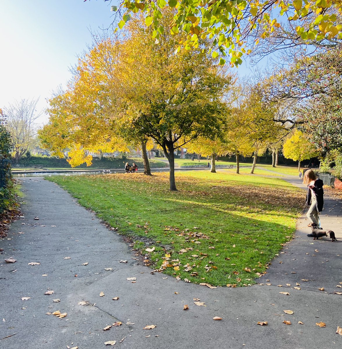 LittleJohn_RC's tweet photo. Went out for a nice dog walk today as I cannot go detecting apparently on my only day off in nice weather. #DogWalk #DailyExercise #NoDetecting #KidsEverywhere #NoPoliceInSight #NovemberLockdown https://t.co/NnnJnftexw