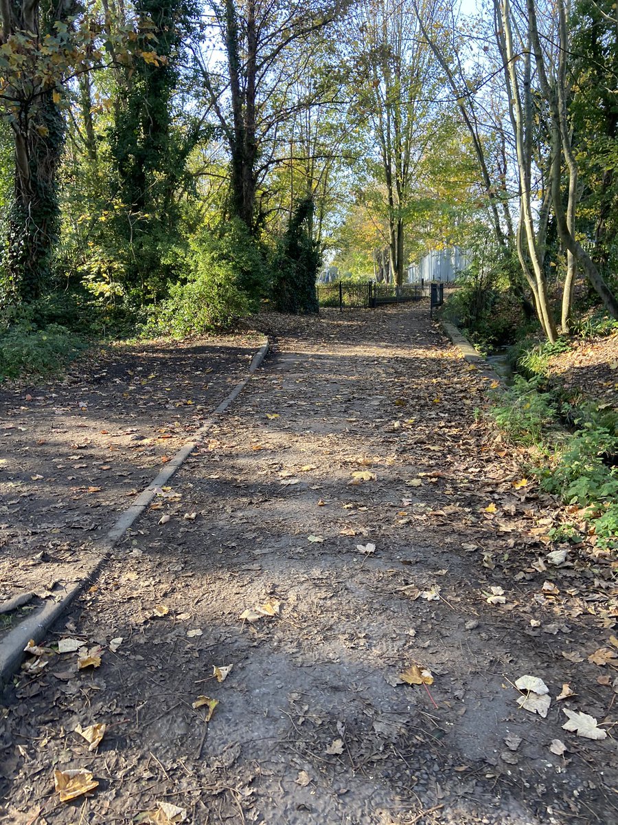 LittleJohn_RC's tweet photo. Went out for a nice dog walk today as I cannot go detecting apparently on my only day off in nice weather. #DogWalk #DailyExercise #NoDetecting #KidsEverywhere #NoPoliceInSight #NovemberLockdown https://t.co/NnnJnftexw