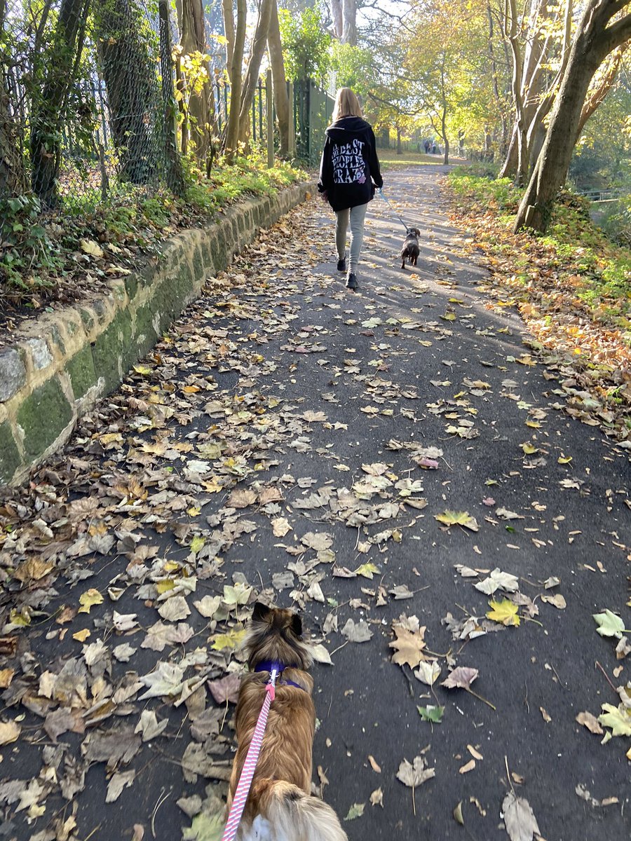 LittleJohn_RC's tweet photo. Went out for a nice dog walk today as I cannot go detecting apparently on my only day off in nice weather. #DogWalk #DailyExercise #NoDetecting #KidsEverywhere #NoPoliceInSight #NovemberLockdown https://t.co/NnnJnftexw