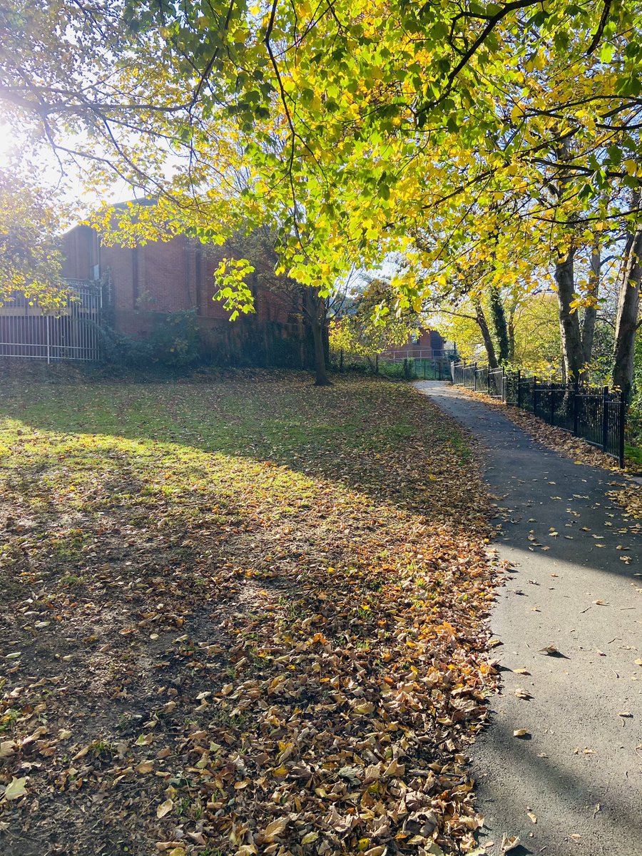 LittleJohn_RC's tweet photo. Went out for a nice dog walk today as I cannot go detecting apparently on my only day off in nice weather. #DogWalk #DailyExercise #NoDetecting #KidsEverywhere #NoPoliceInSight #NovemberLockdown https://t.co/NnnJnftexw