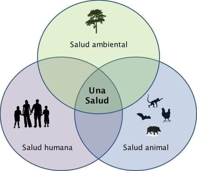 #UnaSolaSalud #OneHealth