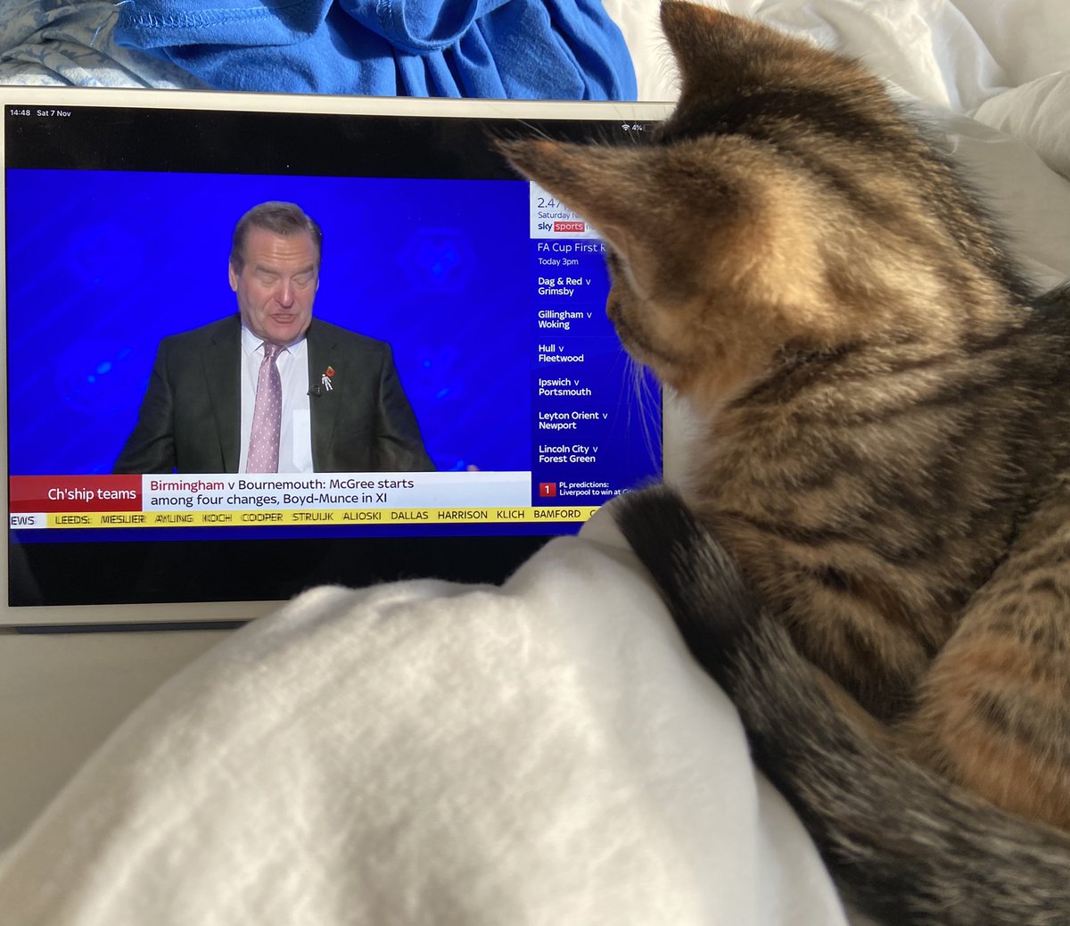 It’s Soccer Caturday

#SoccerSaturday #Comeonyouknow