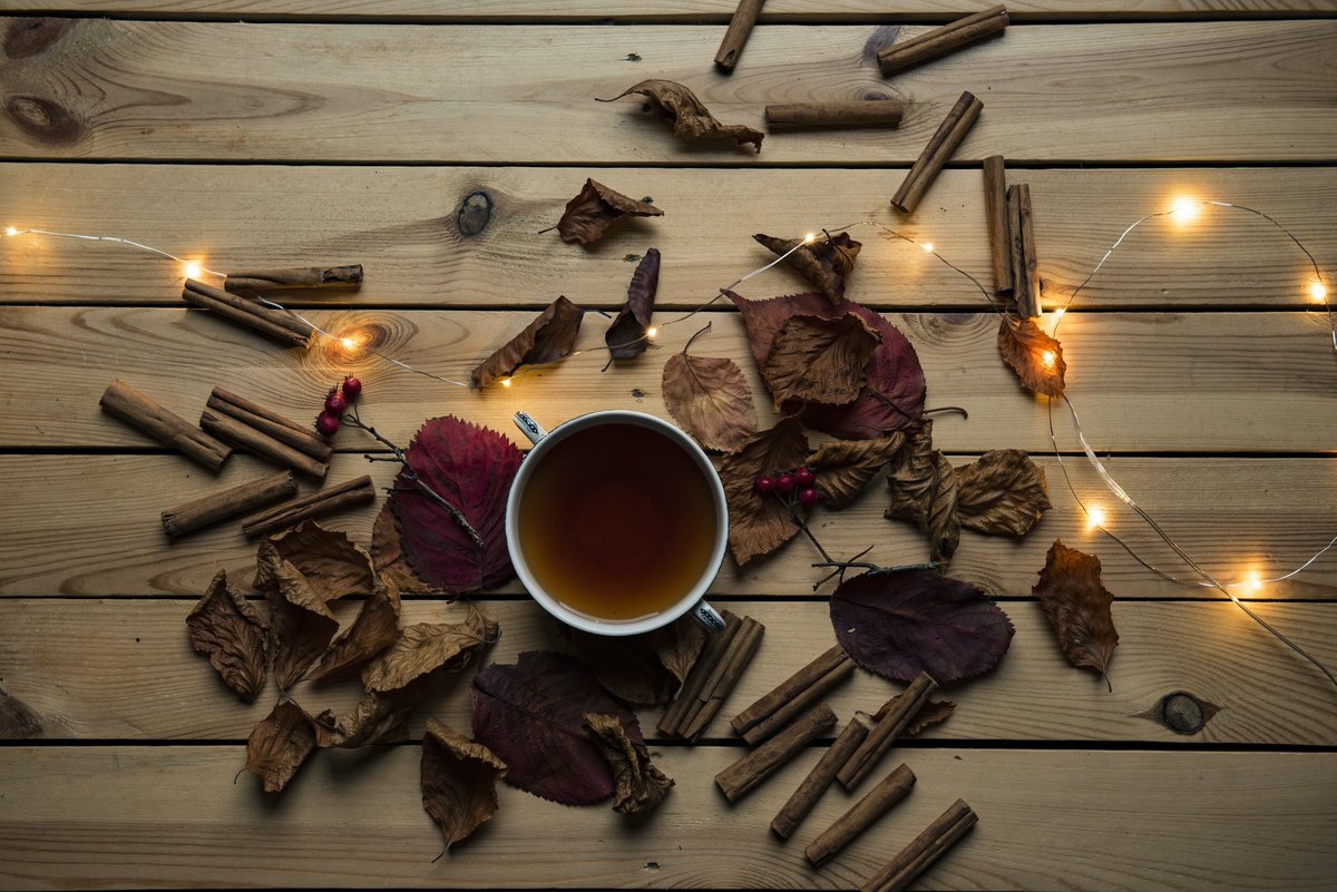 Need some motivation to get through the end of the semester? Check out this playlist Catherine made to help you through these stressful times and get you in the Fall mood! cofc.therival.online/content/2020/1… 🍂☕🍁 #therivalcofc #therival #cofc #fallmood #endofsemester #spotify