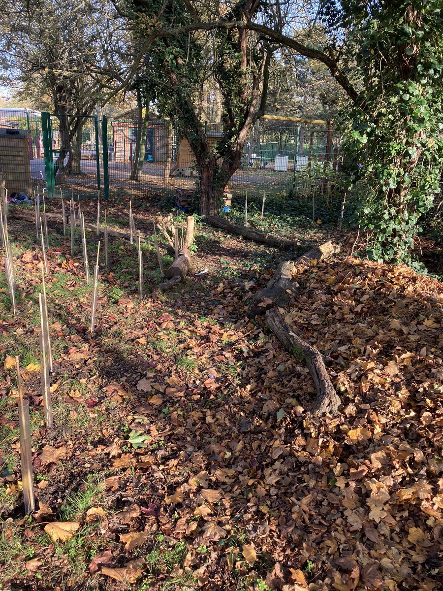 Bishop John Robinson tweet media