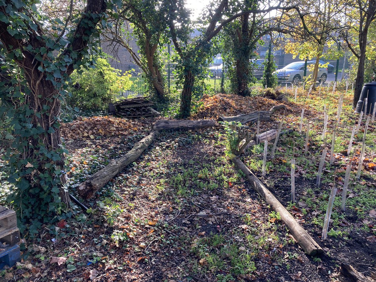 Bishop John Robinson tweet media