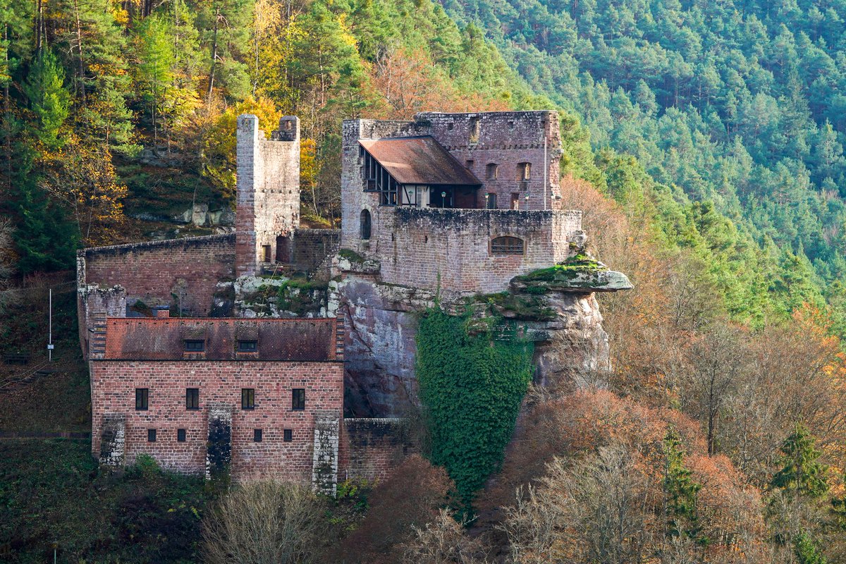 Pfalzfoto's tweet photo. Die Burg Spangenberg heute Nachmittag bei #Erfenstein. Sie befindet sich in der Gemarkung #NeustadtWeinstraße und ist über die L499 im Elmsteiner Tal zu erreichen. https://t.co/iYpILQSsCA