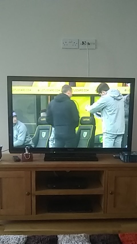 NathWatkins22's tweet photo. Come on @SwansOfficial get 3 points #JackatHome https://t.co/uUyMKTk5LY