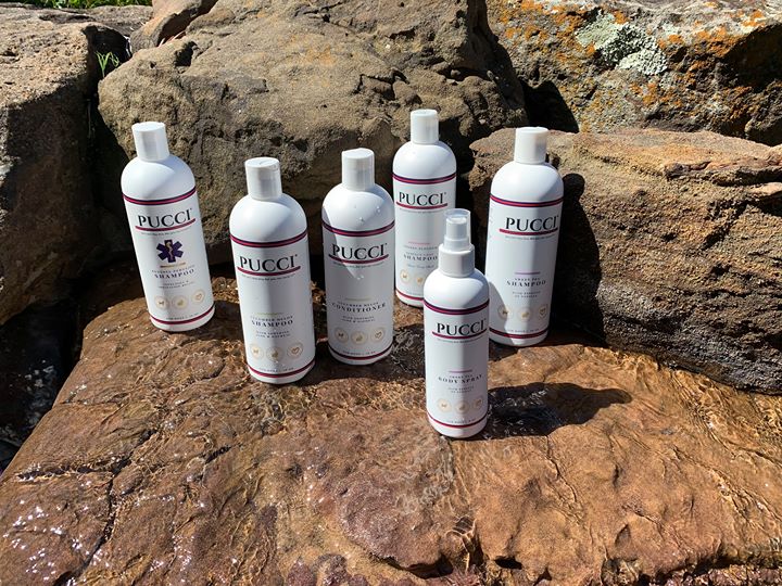 puccicafe's tweet photo. Raving Reviews!!! PUCCI Café Dog Shampoos, Conditioners and Sprays provide the best quality.  They are safe and smell good for your pup will make them feel, look and smell good. https://t.co/Mnl3EHYXMq https://t.co/dwRiirTcvD