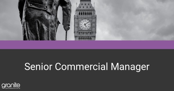 Granite Search tweet media