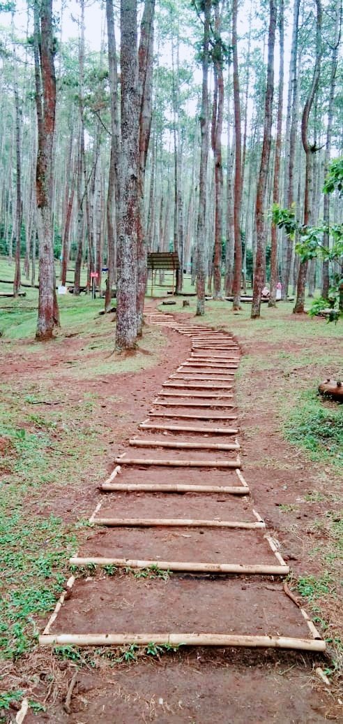 ENuraisaa's tweet photo. Hidup adalah sebuah perjalanan 🍃🍃🍃

Selamat berhari sabtu to semuanya...
Have a nice weekend #tweeps 
#HappySaturday #November #naturelovers #batukuda https://t.co/xNgyLxRIZq