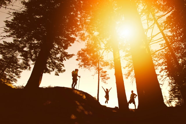 You'll never run out of fall activities in Alabama. Some fun activities that you can take part in include going to a corn maze, going hiking/camping, and visiting spectacular caves! Which activity are you most excited to try? #FallInAlabama