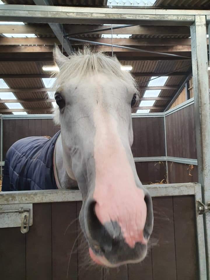 goracinggreen's tweet photo. Watching Teqany running @wincantonraces #bitesnails https://t.co/NbaCsIn0ow